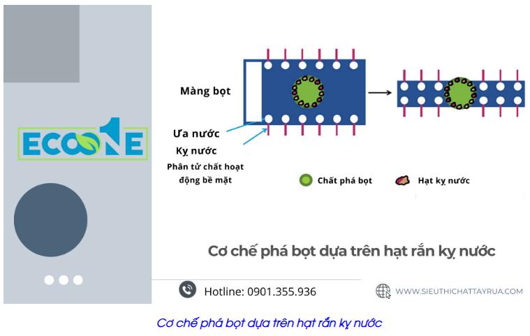 Cơ chế phá bọt dựa trên hạt rắn kỵ nước